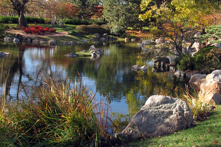 Enlarge photo 133