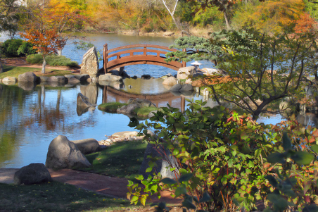 Enlarge photo 135