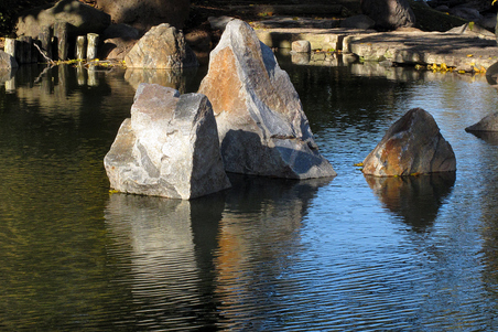 Enlarge photo 141