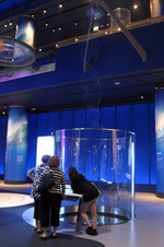 Enlarge photo 37