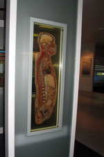 Enlarge photo 109