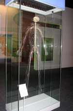 Enlarge photo 116