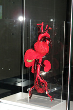 Enlarge photo 117