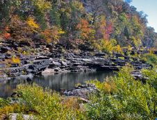 Enlarge photo 91