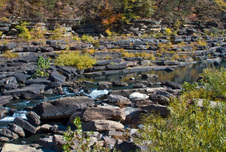 Enlarge photo 92