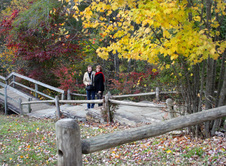 Enlarge photo 14