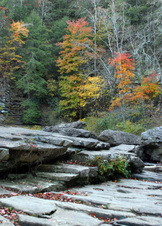 Enlarge photo 20