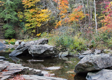 Enlarge photo 21