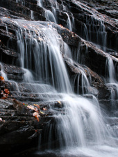 Enlarge photo 23