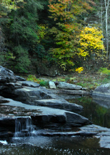 Enlarge photo 24