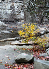 Enlarge photo 27