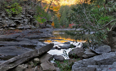 Enlarge photo 28