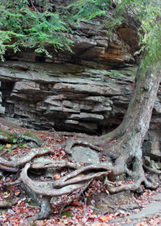 Enlarge photo 29