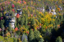 Enlarge photo 36