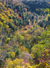 Enlarge photo 38