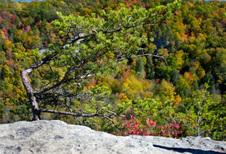 Enlarge photo 39