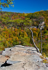 Enlarge photo 41