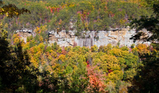 Enlarge photo 42