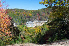 Enlarge photo 44