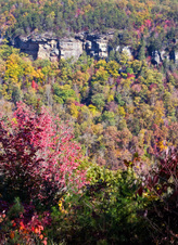 Enlarge photo 45