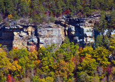 Enlarge photo 47