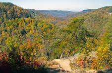 Enlarge photo 49