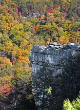 Enlarge photo 50
