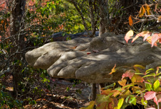 Enlarge photo 55