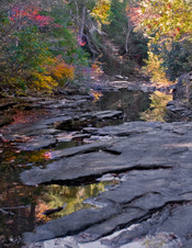Enlarge photo 59