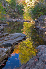 Enlarge photo 62