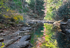 Enlarge photo 63