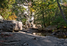 Enlarge photo 64