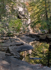 Enlarge photo 65