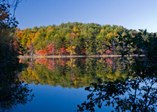 Enlarge photo 67
