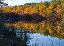 Enlarge photo 68