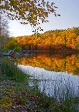 Enlarge photo 69
