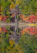 Enlarge photo 70