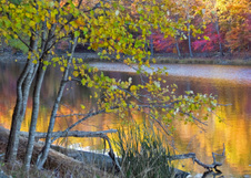 Enlarge photo 72