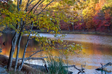 Enlarge photo 73