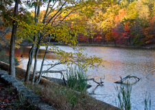 Enlarge photo 74