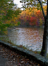 Enlarge photo 75