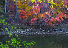 Enlarge photo 76
