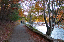 Enlarge photo 77