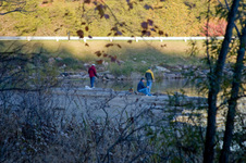 Enlarge photo 79