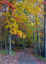 Enlarge photo 80
