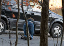 Enlarge photo 81
