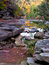 Enlarge photo 17