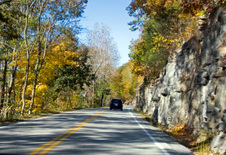 Enlarge photo 87