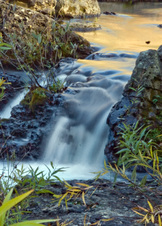 Enlarge photo 99