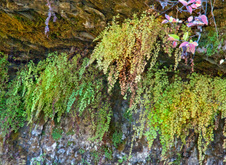Enlarge photo 102